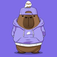 Jacques 💫⚖️ (@jacques314665) Twitter profile photo