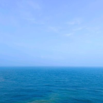 wang798179's profile picture. 小白要去了解区块链的世界