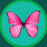 かのんʚଓ (@teikun79) Twitter profile photo