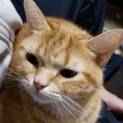あきぽさんのプロフィール画像