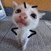 kay! (@lmaokayzz) Twitter profile photo kay! (@lmaokayzz) Twitter profile photo