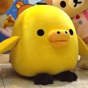 yeopgiodeng's profile picture. 답 답 한 것 들 은 던져버려 여긴 정말 섹시하다