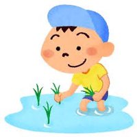田植え業者君 (@yanshi0206) Twitter profile photo