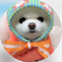 ニーナ姫 (@niina_hime) 's Twitter Profile