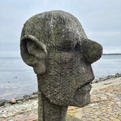 MTH1356's profile picture. 