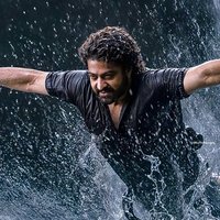 NTRNeel (@chocolate225143) 's Twitter Profile