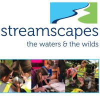 StreamScapes (@streamscapes) 's Twitter Profile