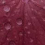 Institute for the protection of orphaned children (@rmyn794888) 's Twitter Profile