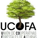 🌲 UCOFA - Unión de Cooperativas Forestales de Asturias 🤝
🌍 Trabajamos por la mejora del territorio forestal asturiano con los valores del modelo cooperativo