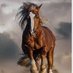 wasi shahⁱᴾⁱᵃⁿ (@wasi_shah01) Twitter profile photo wasi shahⁱᴾⁱᵃⁿ (@wasi_shah01) Twitter profile photo