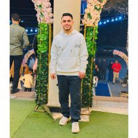 AbdulRahman Abdelmoaty (@abduabdelmoaty) 's Twitter Profile