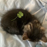 a ♡ (@apdiaryy) 's Twitter Profile