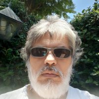 jose duarte marecos (@joseduarte313) 's Twitter Profile