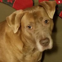 Buckeye Mike (@buckeye__mike) 's Twitter Profile