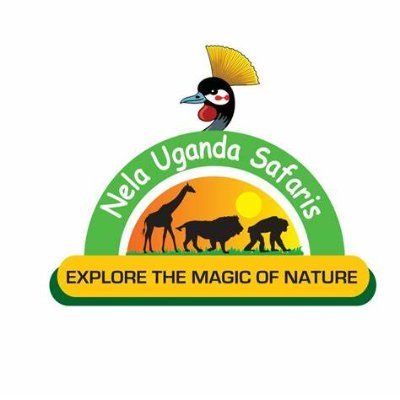 At Nela Safaris, we're passionate about sharing the beauty and wonder of Africa with the world.