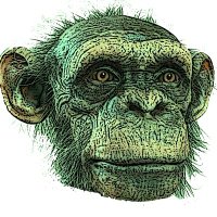 Shailu pawar (βΈ,βΈ) (π§ββοΈ,π§ββοΈ) Gnoma (@gnomapawar98018) 's Twitter Profile