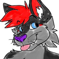 🐱Fаg Cat🐈 (@liyofloof) 's Twitter Profile Photo