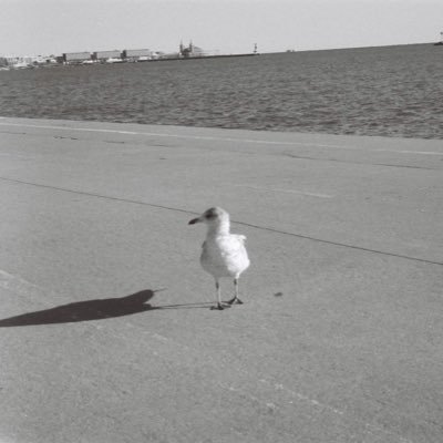 Yama1224ryo's profile picture. Abstract representation is cool I guess