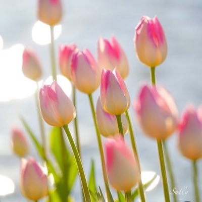 tmax030303's profile picture. #滅べ自民党