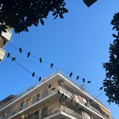 N_G2025's profile picture. 