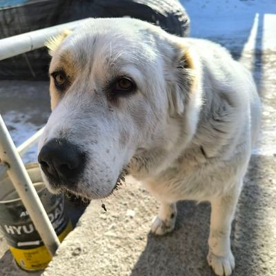 Ariunbold171791's profile picture. 