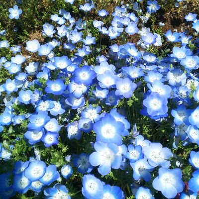 E71iR4lzsa47465's profile picture. 神奈川生まれ茨城育ちです🎂　
皆さんの親くらいの年齢ですが
繋がってもらえたら嬉しいな🙇
無言フォロー オケです　　　　　　　　　
MBTIはISFP-T