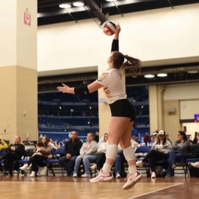 taylorclaw_vb's profile picture. |Boiler jrs 16-2|#30|5’10|Setter|Harrison High School|Class of 2027|3.90GPA| https://t.co/3qVZ7Ew4k8|