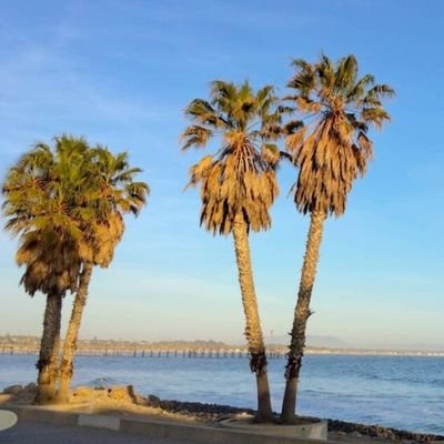 Love77505258's profile picture. Spread Love wherever you go