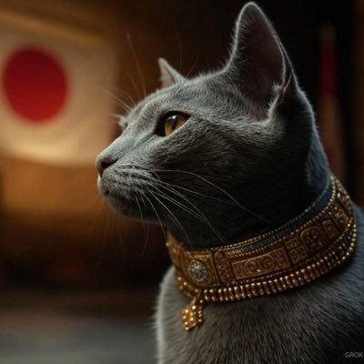 基本無党派保守。党ではなく人となりを見る。文献引用ポスト、無言フォロー失礼します。(不可の場合はDMを)初フォロワ即DM🧱対象。 #秋篠宮皇嗣殿下万歳 #悠仁親王殿下万歳 #尖閣諸島竹島対馬北方領土は日本固有領土 #旧宮家復活案推進 #選択的夫婦別姓廃案へ