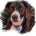 Mudge (@mountainmudge) Twitter profile photo Mudge (@mountainmudge) Twitter profile photo
