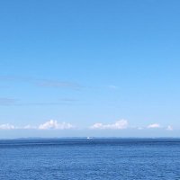 たまり (@pfith2ek1n73242) 's Twitter Profile