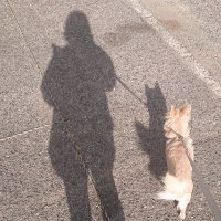 ちなつ (@cccc_abcy) 's Twitter Profile Photo