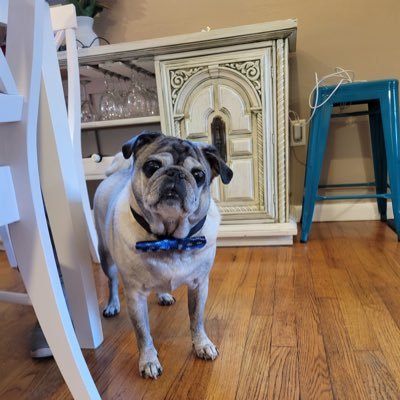 Lucky to be loved so very much by such an amazing woman and Blessed with a family and my Pierce the Pug 🌊🌊🌊🍷 #LGBTQ #LUPUSWARRIOR #lifelongdem #gobirds