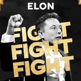 Ecryptomeme's profile picture. SELON is the third member of the fight fight fight