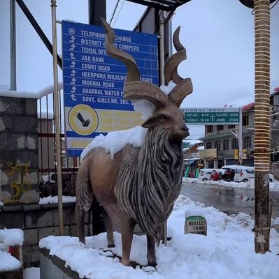 SeptemberL32025's profile picture. 