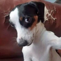 AK³⁰ (@boboonanas) 's Twitter Profile