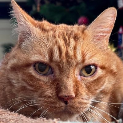 David Martínezさんのプロフィール画像