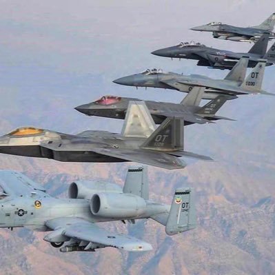 PedroMJGCS's profile picture. Personal Opinions