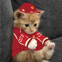 mao¹⁶ (@heartclerc) 's Twitter Profile Photo mao¹⁶ (@heartclerc) 's Twitter Profile Photo