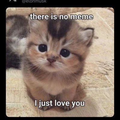 KoikoinbC's profile picture. ZX6CCACN