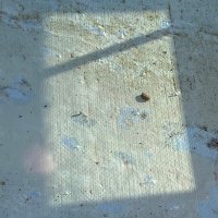 The Dicksonian Institute (@the_dicksonian) 's Twitter Profile Photo The Dicksonian Institute (@the_dicksonian) 's Twitter Profile Photo