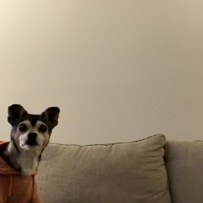 SpenaChris's profile picture. 