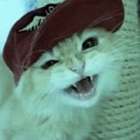 water (@wvvter) 's Twitter Profile Photo water (@wvvter) 's Twitter Profile Photo