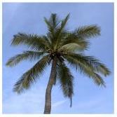 AztecVillas's profile picture. Cyprus Holidays & Property Management.  Complete support & attention to detail helping owners to rent villas & give guests a holiday to remember for life.