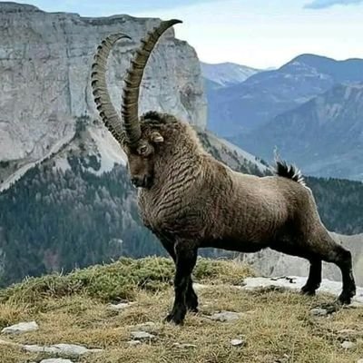 FarmerHayama's profile picture. Web3 enthusiast