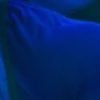 ___ (@nkmsru64) Twitter profile photo