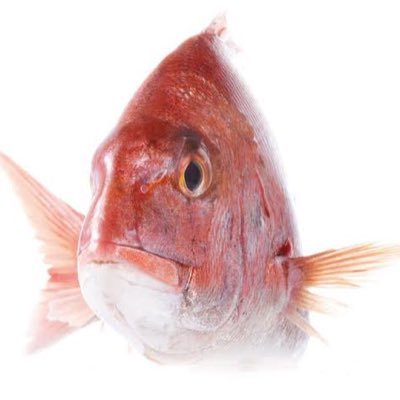 22222cccccw's profile picture. 魔王・星龍・妖精・零・百式・千手・魔王・凶兆・億兆・修羅・極悪・新百式