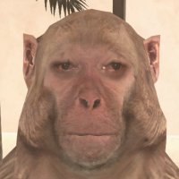 hitohuman (@hitohuman_365) 's Twitter Profile