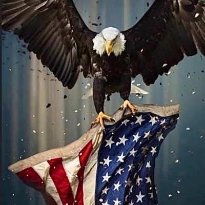 We The People Believe In A Constitutional Government Of The People, By The People & For The People.