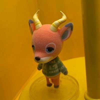 音さんのプロフィール画像